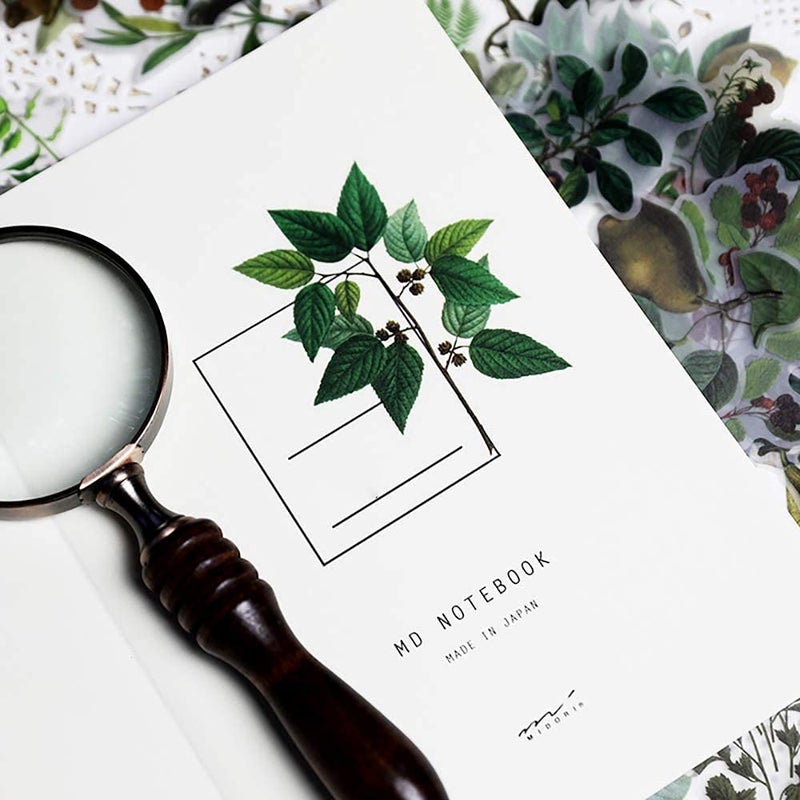 Doraking 65PCS Plants Scrapbook Stickers, DIY Decoration Transparent Sulfuric Paper Green Plants for Scrapbook, No-Repeat - Image 5